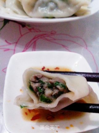 墨鱼韭菜馅儿饺子的做法步骤：9