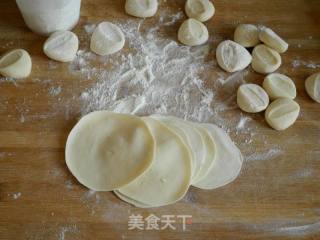 牛肉萝卜水饺的做法步骤：8