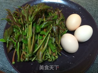 香椿炒蛋的做法步骤：1