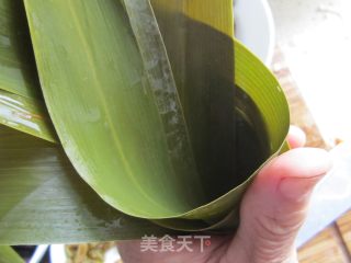 简易粽子的做法步骤：5