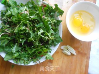 蒲公英炒鸡蛋的做法步骤：1