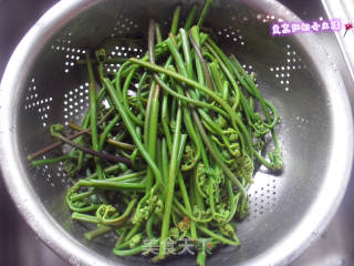 肉丝蕨菜的做法步骤：2