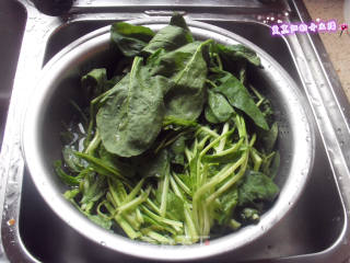 蛋皮菠菜的做法步骤：1