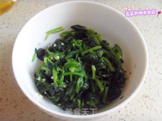 蛋皮菠菜的做法步骤：2