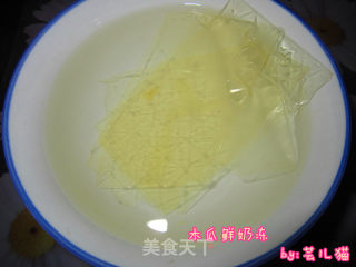 木瓜鲜奶冻的做法步骤：2
