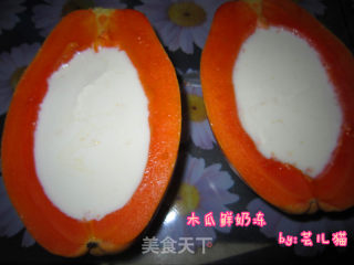 木瓜鲜奶冻的做法步骤：4