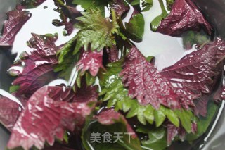 紫苏花甲的做法步骤：2