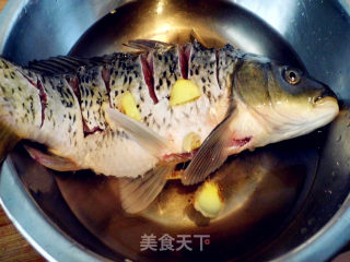 茄汁鲤鱼的做法步骤：8