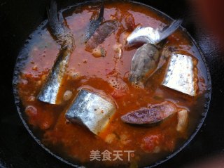西红柿炖鲅鱼的做法步骤：7