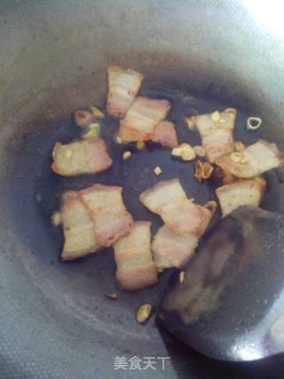 蚝油杏鲍菇的做法步骤：7