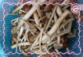 茶树菇黑木耳炒鸡的做法步骤：1
