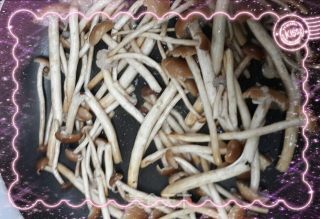茶树菇黑木耳炒鸡的做法步骤：5