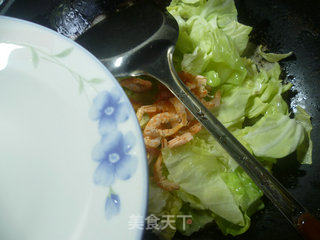 开洋炒圆白菜的做法步骤：4