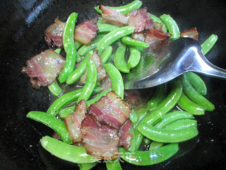 荷兰豆炒风肉的做法步骤：3