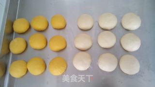 双色餐包的做法步骤：4