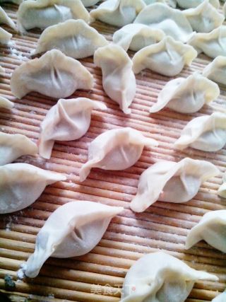 卷心菜虾仁玉米肉馅儿饺子的做法步骤：7