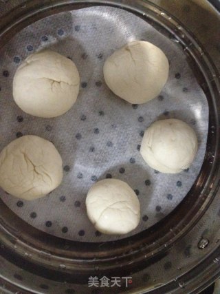 新手蒸馒头的做法步骤：9