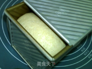 全麦土司的做法步骤：15
