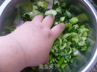 清炒手捏菜的做法步骤：6