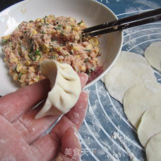 玉米猪肉饺子的做法步骤：11