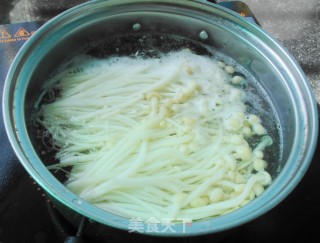 蚝油扒鲜菇的做法步骤：4