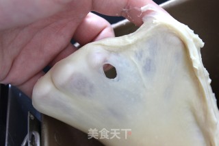 可可双色吐司的做法步骤：3