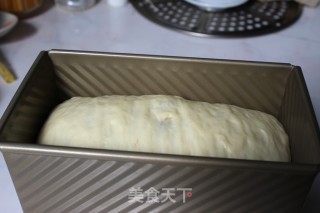 可可双色吐司的做法步骤：10
