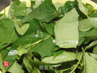 番薯叶炒豆酱：跟着民谣觅美食的做法步骤：2
