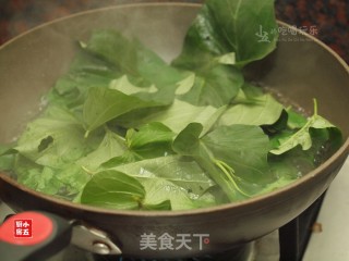 番薯叶炒豆酱：跟着民谣觅美食的做法步骤：4