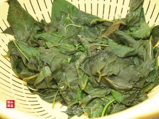 番薯叶炒豆酱：跟着民谣觅美食的做法步骤：5
