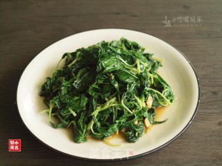 豆酱炒麻叶：餐桌上的防暑降温的做法步骤：12
