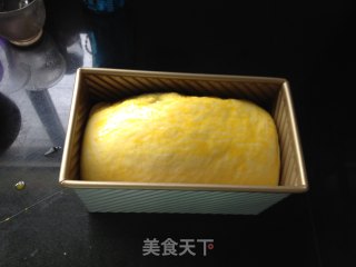 双色蛋白吐司的做法步骤：13
