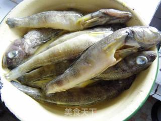 干炸南极鱼的做法步骤：3