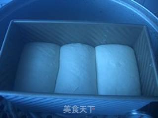 乳清中种土司的做法步骤：14