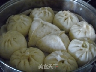 必须要会做的面食之【茴香鸡蛋包子】的做法步骤：10