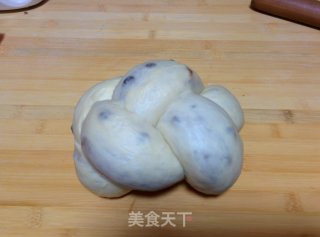 【蜜豆可可双色吐司】——手工整形面包机版的做法步骤：19