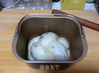 【蜜豆可可双色吐司】——手工整形面包机版的做法步骤：20