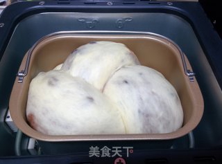 【蜜豆可可双色吐司】——手工整形面包机版的做法步骤：21