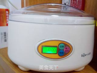 自制酸奶的做法步骤：8