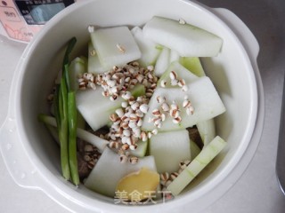 冬瓜薏米骨汤的做法步骤：7