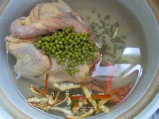 预防痱子从食物做起---老鸽煲绿豆的做法步骤：4