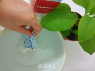 自制无糖酸奶的做法步骤：2