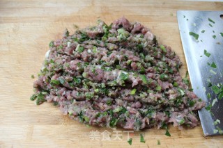 叫我怎能忘记它——葫芦肉饺的做法步骤：3