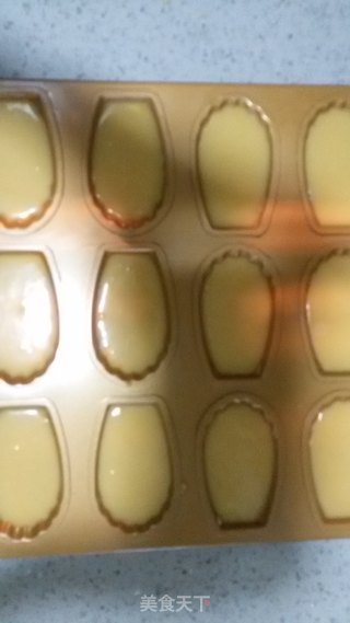 香草玛德琳小蛋糕的做法步骤：11