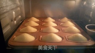 香草玛德琳小蛋糕的做法步骤：12