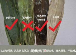三角粽的做法步骤：15