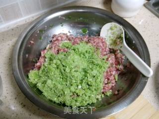 四季豆水饺的做法步骤：2