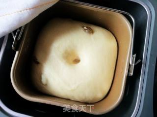 面包机版葡萄干土司的做法步骤：5