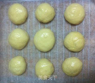 蜜红豆小餐包的做法步骤：5