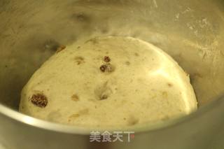 【面包新语系列】天然酵母无花果树枝面包的做法步骤：7